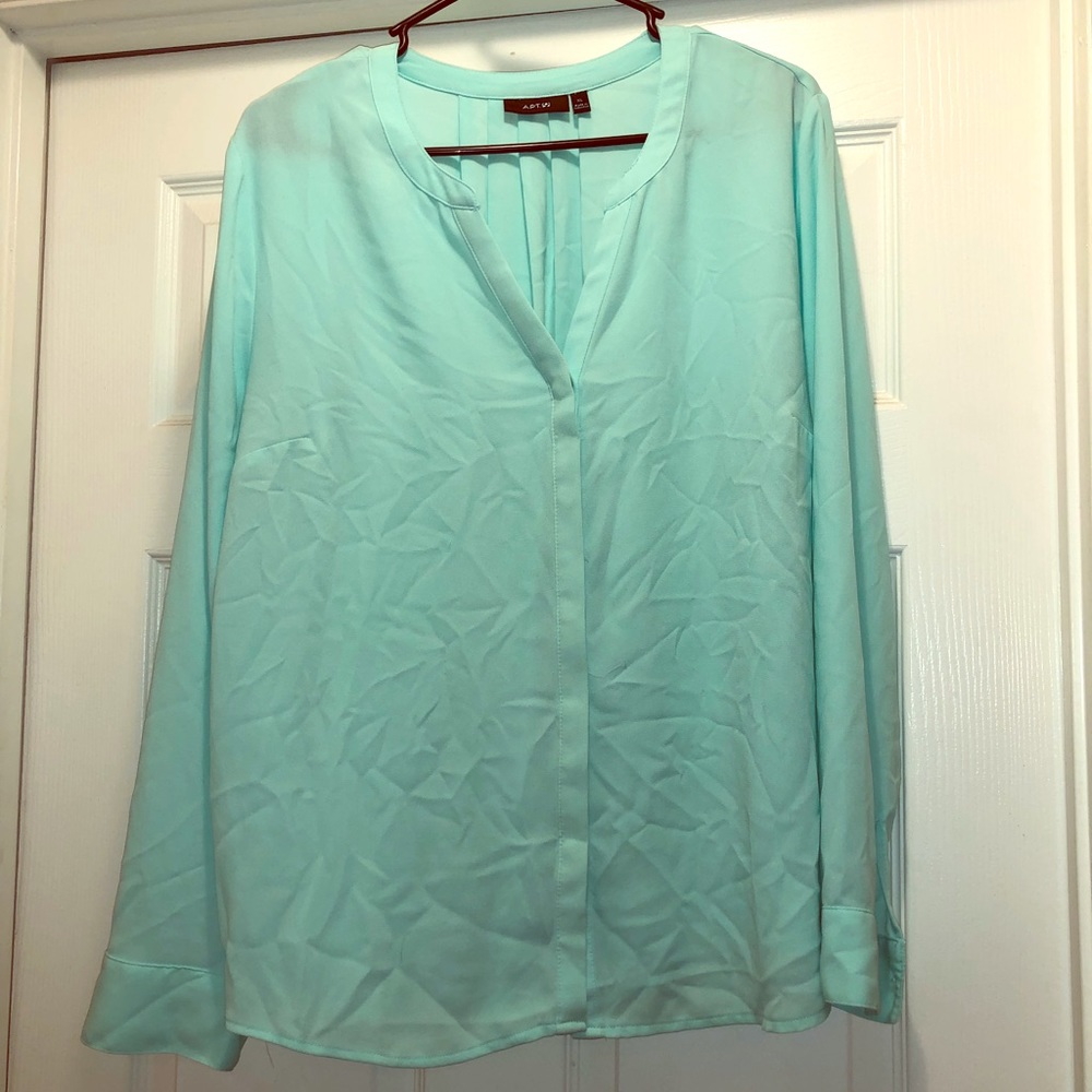 Light teal long sleeve blouse.